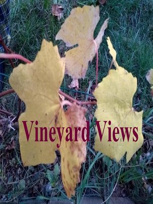 cover image of Vineyard Views